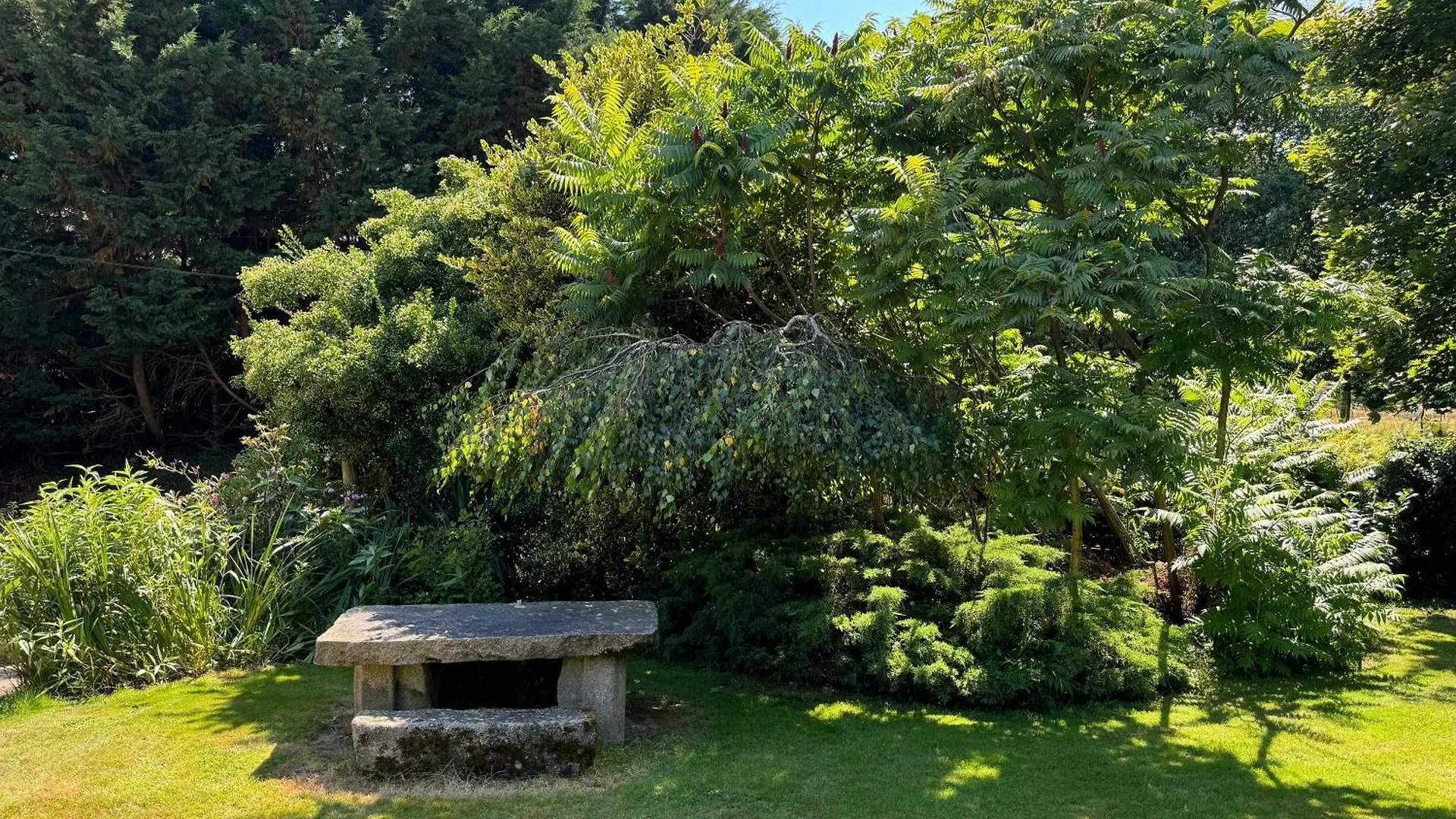 Holiday home Grand Gite La Maison D'Amelie La Chapelle-Saint-Aubert
